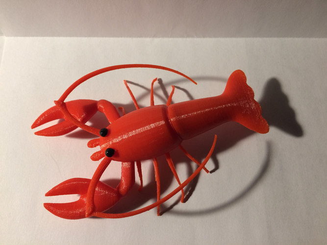 Lobster 3D Print 148525