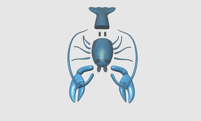 Lobster 3D Print 148527