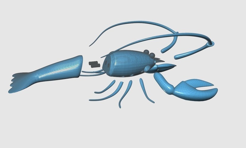 Lobster 3D Print 148528