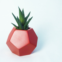 Small Dodecaedro planter 3D Printing 148756