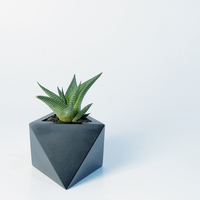 Small Octaedro planter 3D Printing 148761