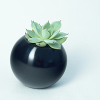 Small Sfera planter 3D Printing 148771
