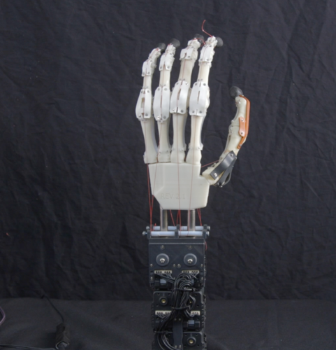 Biomimetic Robotic Prosthetic Hand 3D Print 149746