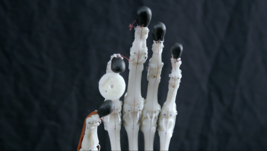 Biomimetic Robotic Prosthetic Hand 3D Print 149829