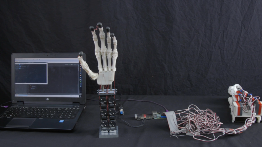 Biomimetic Robotic Prosthetic Hand 3D Print 149838