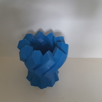 Small Twisted Hexagon Vase 3D Printing 149962