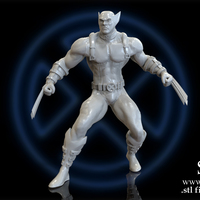 Small X-MEN Diorama - Wolverine / 3D model for 3D Printing  3D Printing 150396