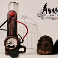 Small Amnesia a machine for guinea pigs 3D Printing 151256