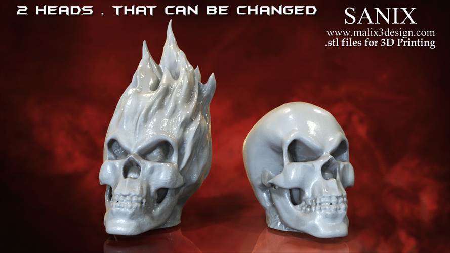 Ghost Rider - 3D Model for 3D Printing 3D Print 151605