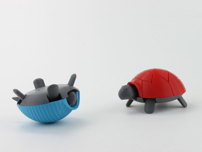 Squishy Turtle 3D Print 151917