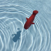 Pool-Fish - Thumbnail 3