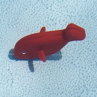 Pool-Fish - Thumbnail 4