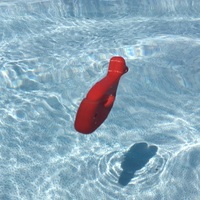 Pool-Fish - Thumbnail 5