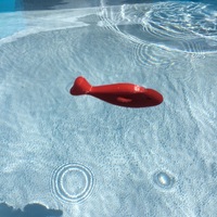 Pool-Fish - Thumbnail 6
