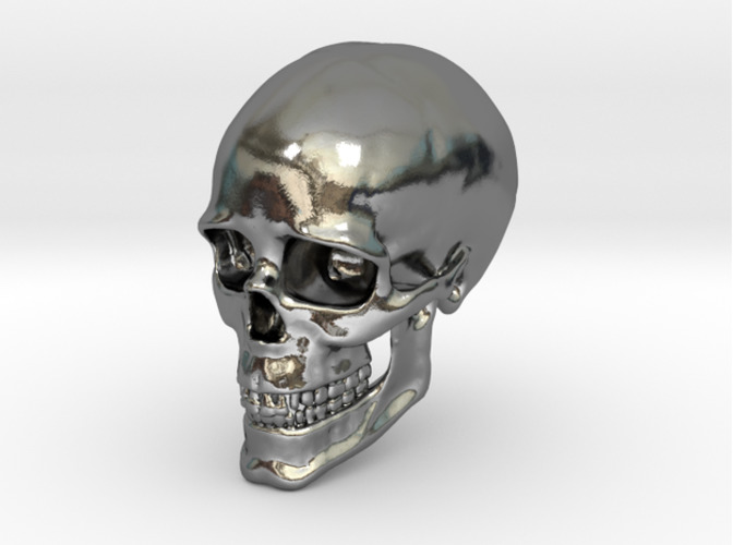 Human Skull 3D Print 15373
