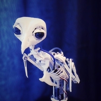 Small Animatronic Bird Armature (head sold separatly) 3D Printing 153820