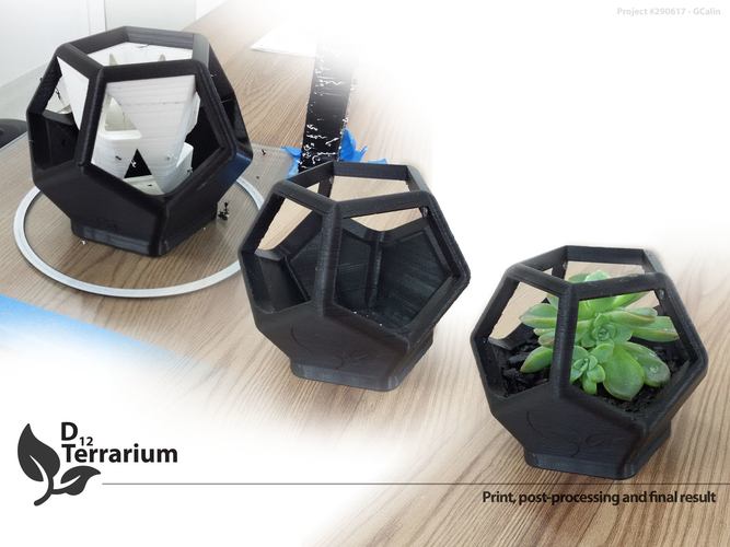 D12 Terrarium 3D Print 154554