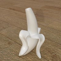 Small Bannana Vase 3D Printing 15723