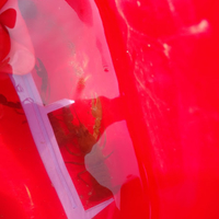 Crayfish measuring tool - Thumbnail 1