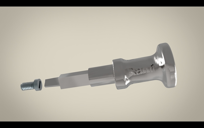 Screw Driver & Screw 3D Print 15895 Screw Driver & Screw 3D Print 15895