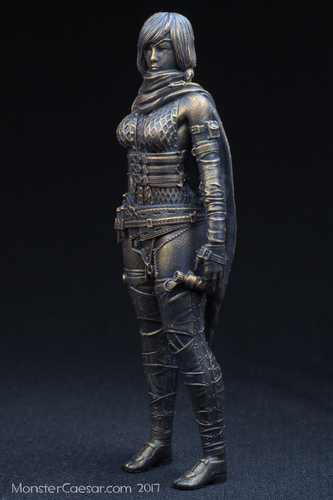Female Ninja warrior 3D Print 160604 Female Ninja warrior 3D Print 160604