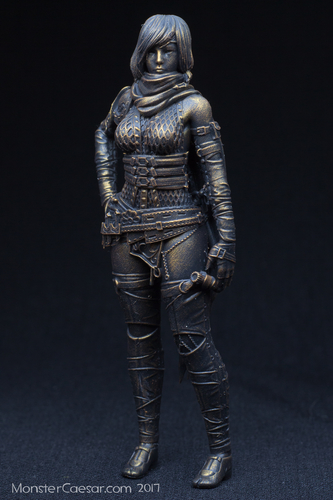 Female Ninja warrior 3D Print 160605 Female Ninja warrior 3D Print 160605