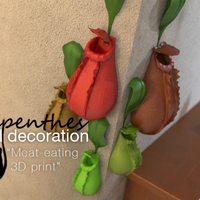 Small Nepenthes wall decoration 3D Printing 16361