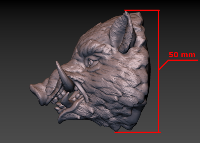 Boar head 3D Print 165822