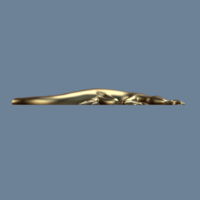 Lizard - Thumbnail 4