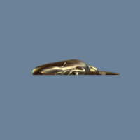 Lizard - Thumbnail 5