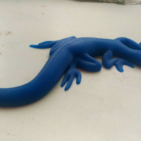 Lizard - Thumbnail 15