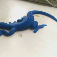 Lizard - Thumbnail 16