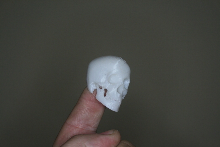 Fingerspop  3D Print 166432