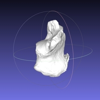 Small High resolution Human Calcaneus (Heel Bone) Scan 3D Printing 166735