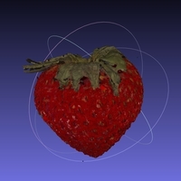 Small Strawberry NextEngine Scan - Fruits and Vegetables Edition 3D Printing 166748