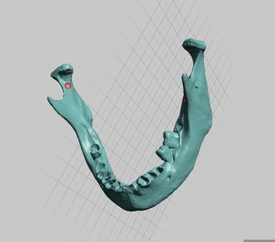Human Mandible (Jaw) Bone Scan, Asian Ancestry, Female Sex 3D Print 166752
