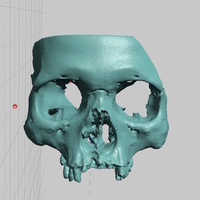 Small Partial Human Skull, African Ancestry, Facial Region Scan 3D Printing 166768