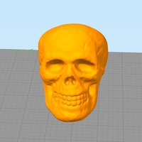 Small Small Halloween Skull Toy 3D Printing 166782