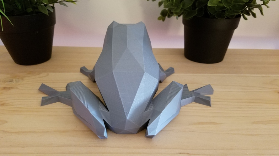 Low-Poly Frog 3D Print 166971