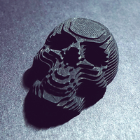 Small Topographic Skull 3D Printing 169139