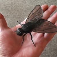 Small Big Fly. 3D Printing 171431