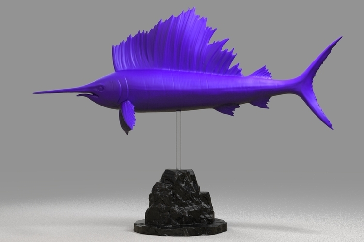 Istiophorus 3D Print 174073 Istiophorus 3D Print 174073