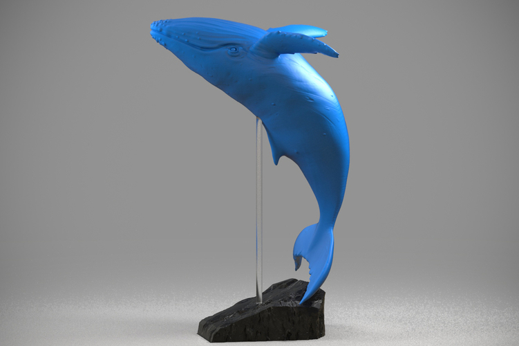 Blue whale 3D Print Model 3D Print 174076 Blue whale 3D Print Model 3D Print 174076