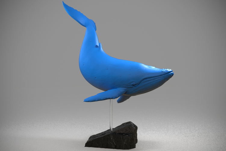 Blue whale 3D Print Model 3D Print 174077 Blue whale 3D Print Model 3D Print 174077