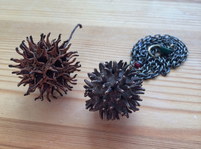 Sweetgum Tree Seed Pendant: Necklace/Earring 3D Print 17424