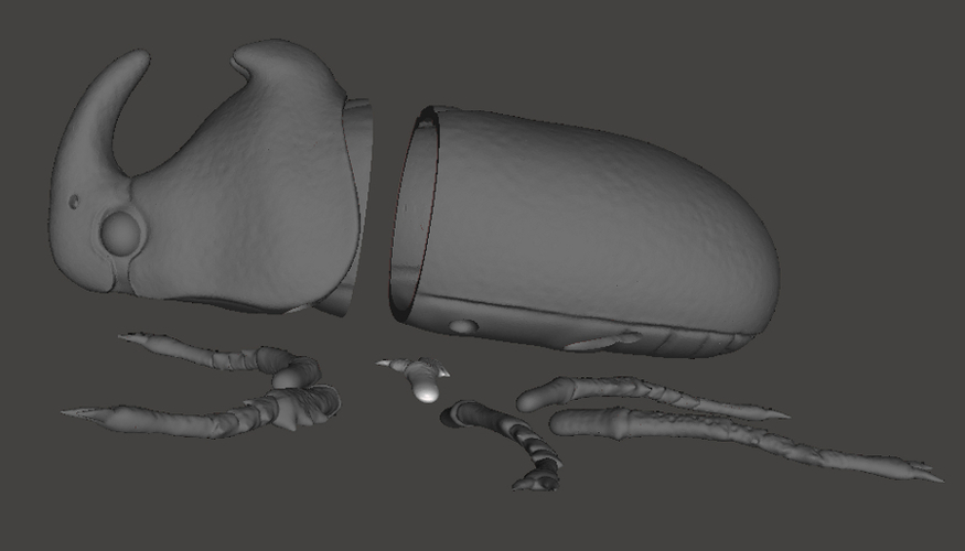 Big Beetle 3D Print 174960 Big Beetle 3D Print 174960