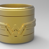Small Wonder Woman Container 3D Printing 175627