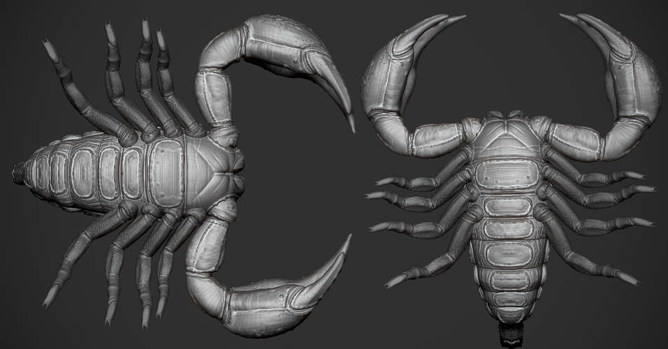 Scorpion 3D Print Model 3D Print 175753 Scorpion 3D Print Model 3D Print 175753