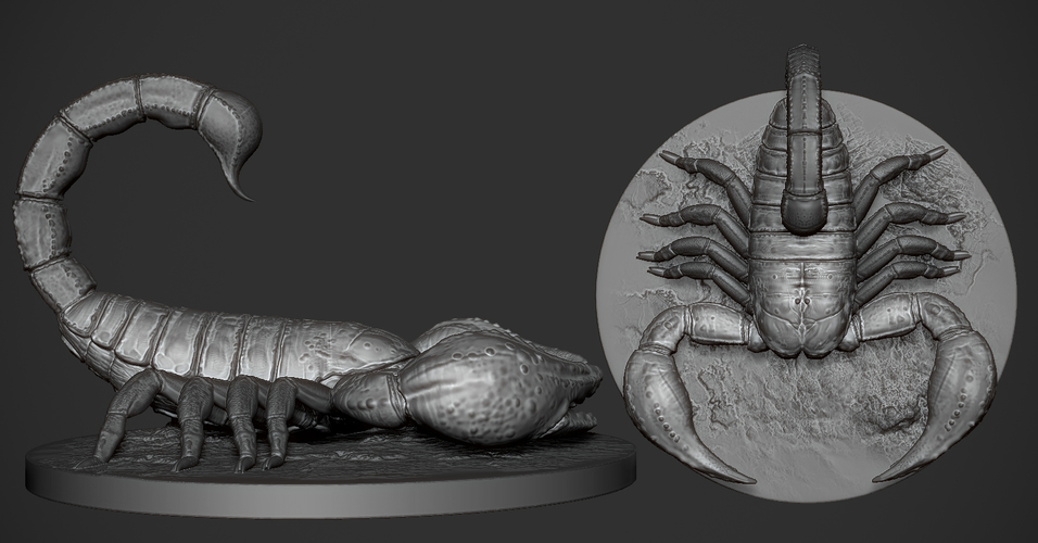Scorpion 3D Print Model 3D Print 175754 Scorpion 3D Print Model 3D Print 175754