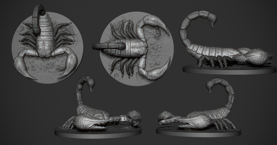 Scorpion 3D Print Model 3D Print 175756 Scorpion 3D Print Model 3D Print 175756